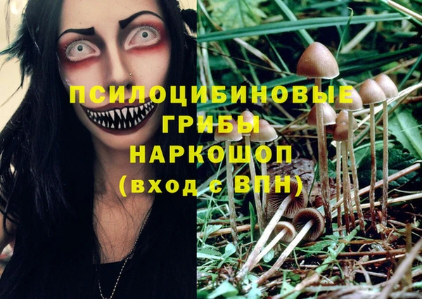 амф Алзамай