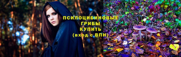 метадон Алексин
