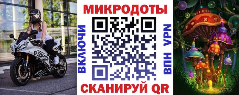 Галлюциногенные грибы Cubensis  Волгоград 