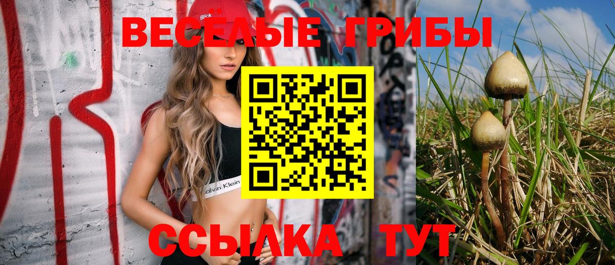 Волгоград  Псилоцибиновые грибы ЛСД  Псилоцибиновые грибы GOLDEN TEACHER  Вход с VPN 